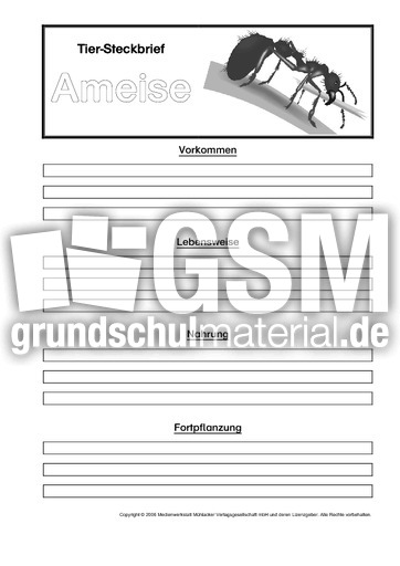 Ameise-Steckbriefvorlage.pdf